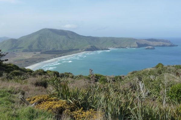 Catlins und Otago-Peninsula Coast