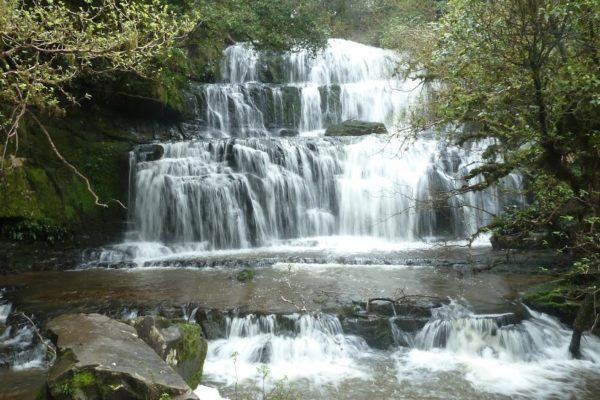 Unser Waterfall Circuit in den Catlins