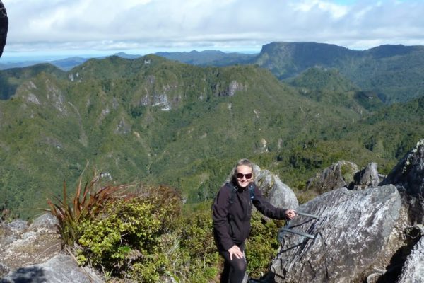 The Pinnacles