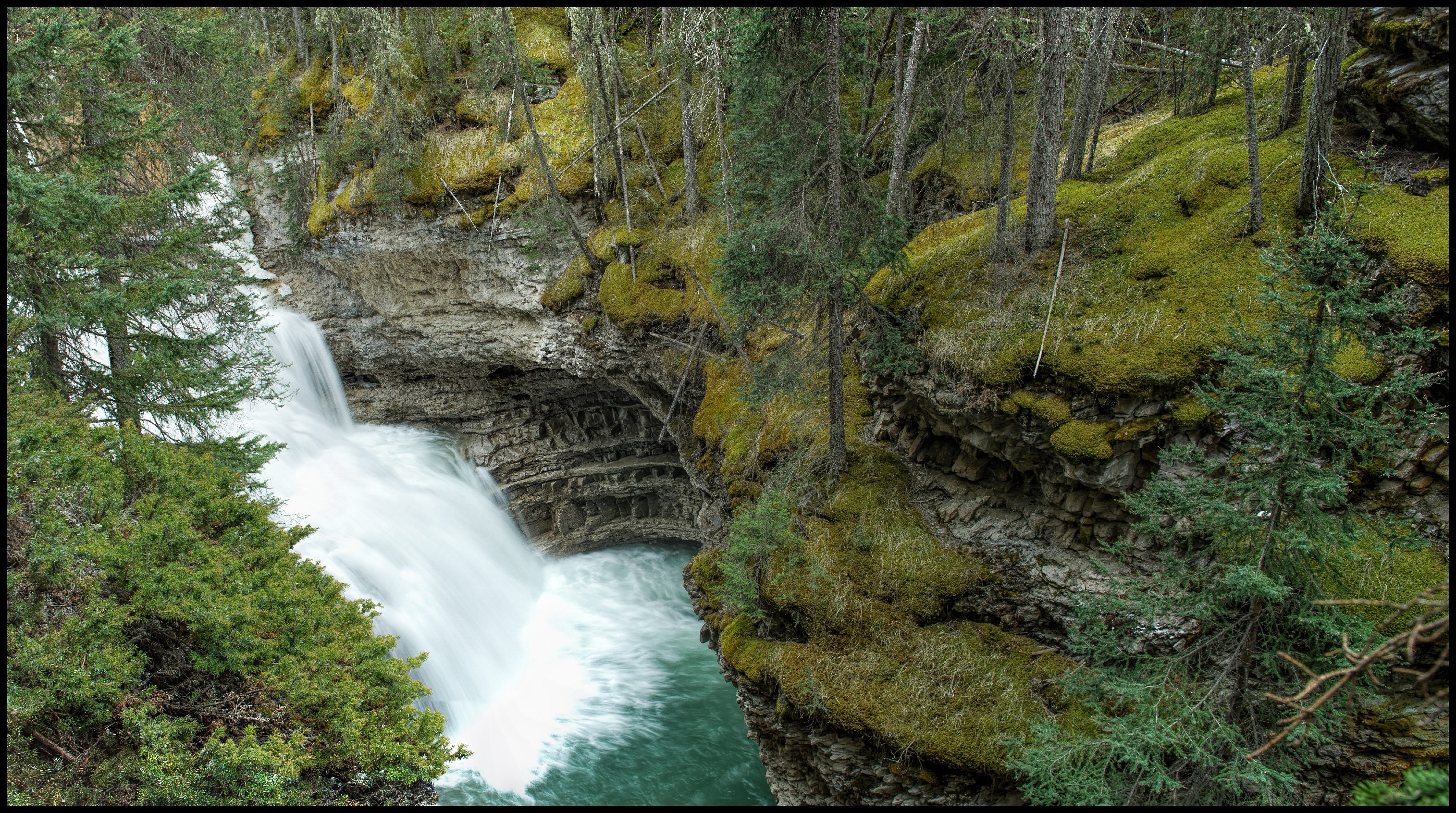 Johnston Canyon Gorge Waterfall Sony A7 / Canon FD Tilt Shift 35 2.8