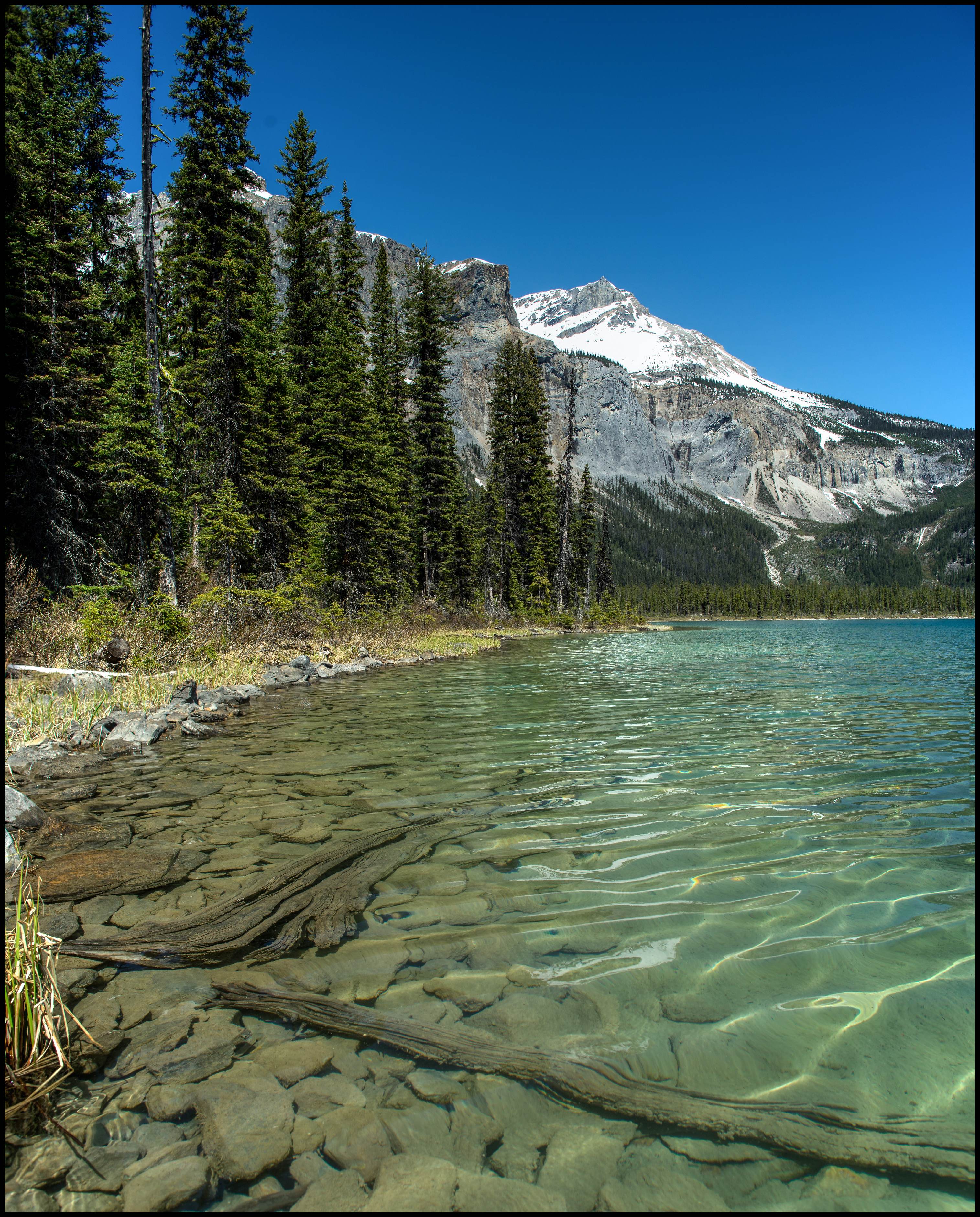 Emerald lake in Yoho National Park Sony A7 / Canon FD Tilt Shift 35 2.8