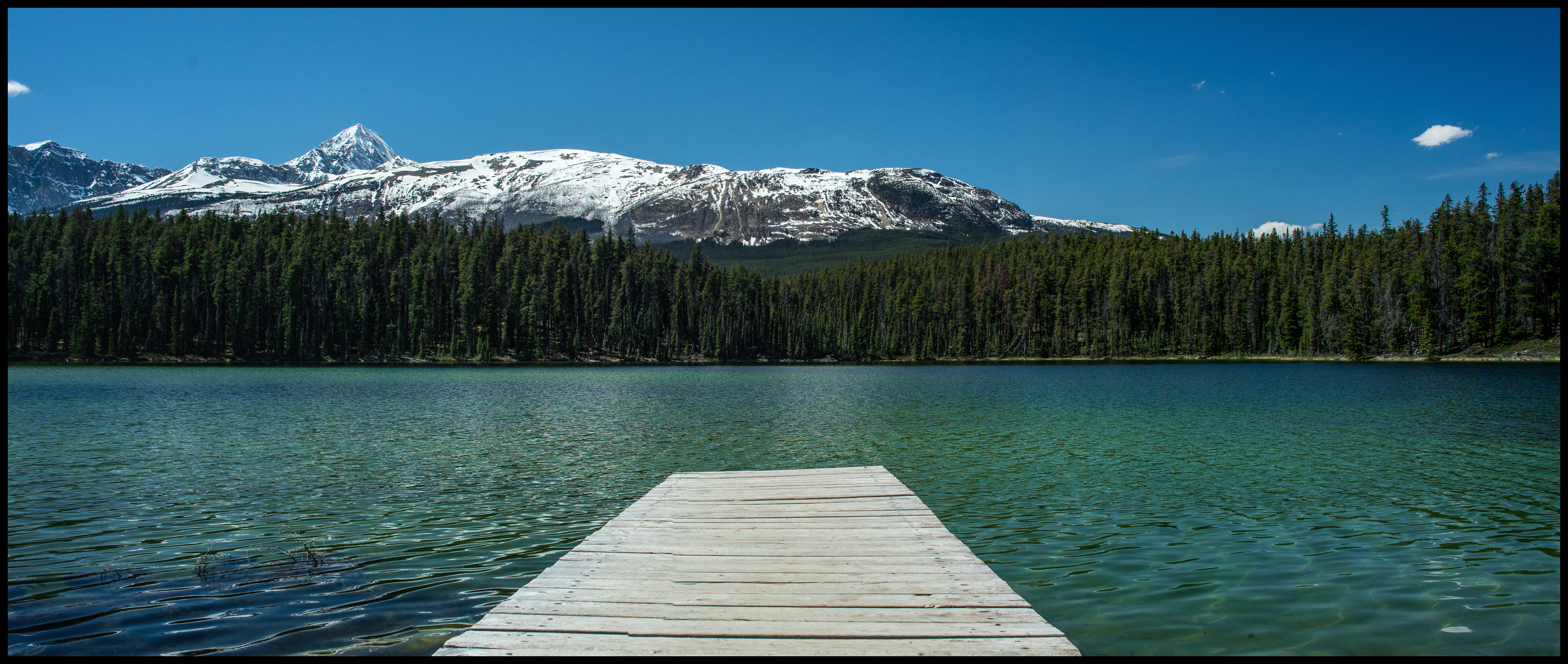 Leach Lake picknick spot near Jasper Sony A7 / Canon FD Tilt Shift 35 2.8