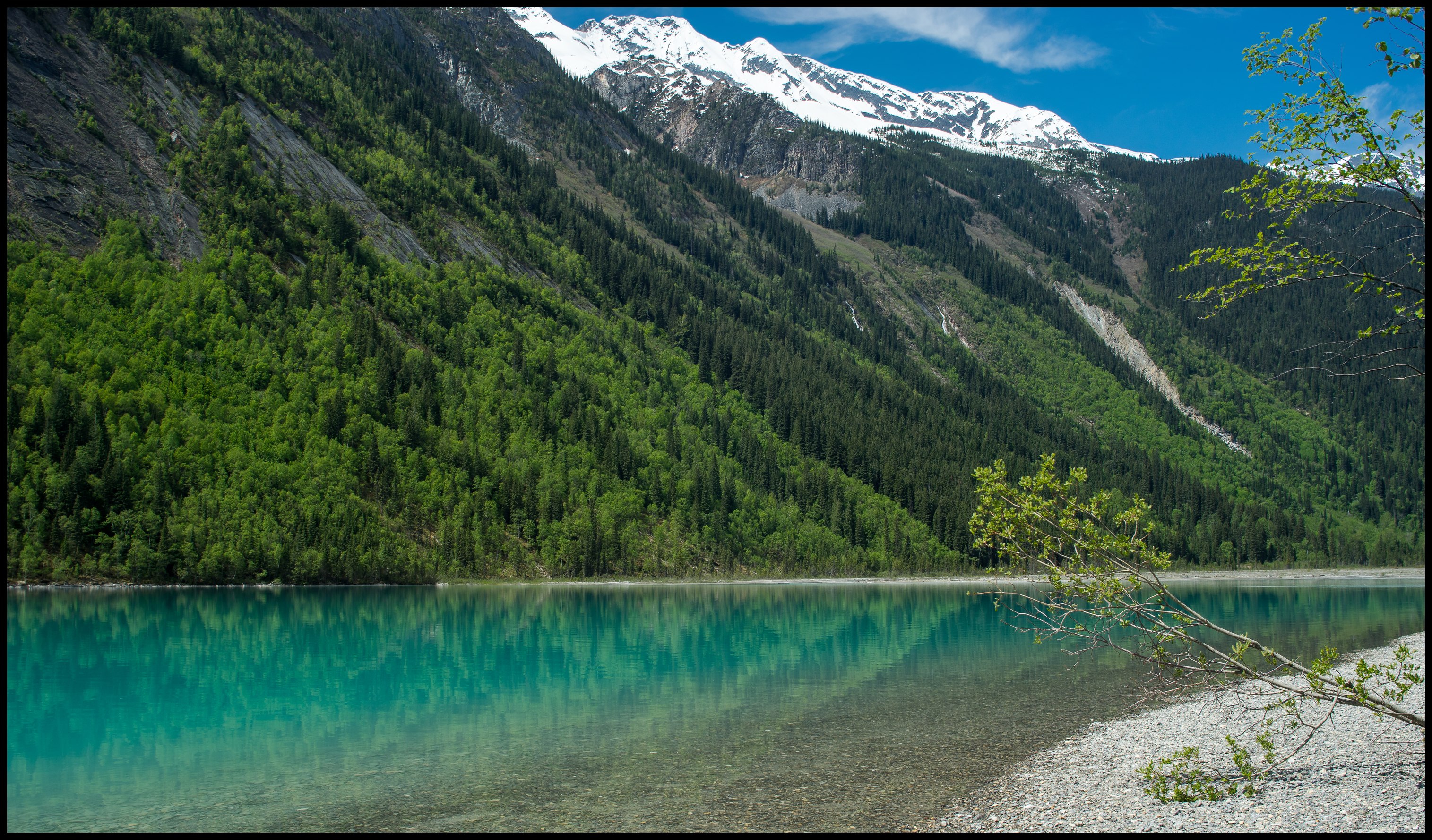 Colours of Kinney Lake / campground Sony A7 / Canon FD Tilt Shift 35 2.8