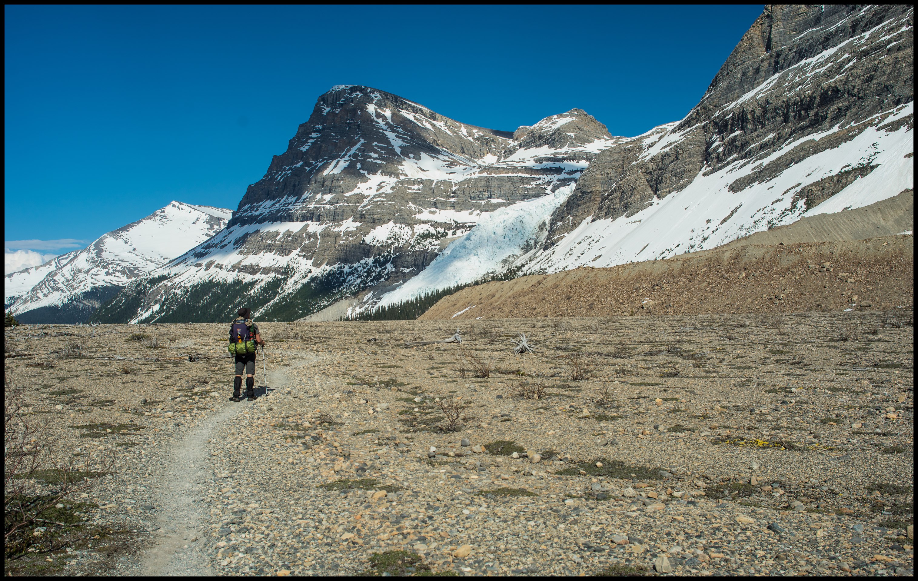 Scenery close to Marmot campsite on Berg Lake Trail Sony A7 / Canon FD Tilt Shift 35 2.8