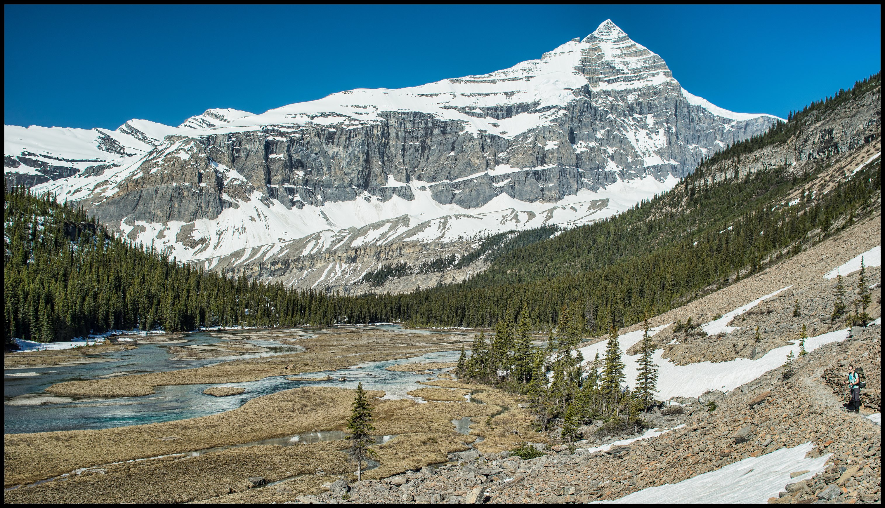 Berg Lake track, beautiful valley