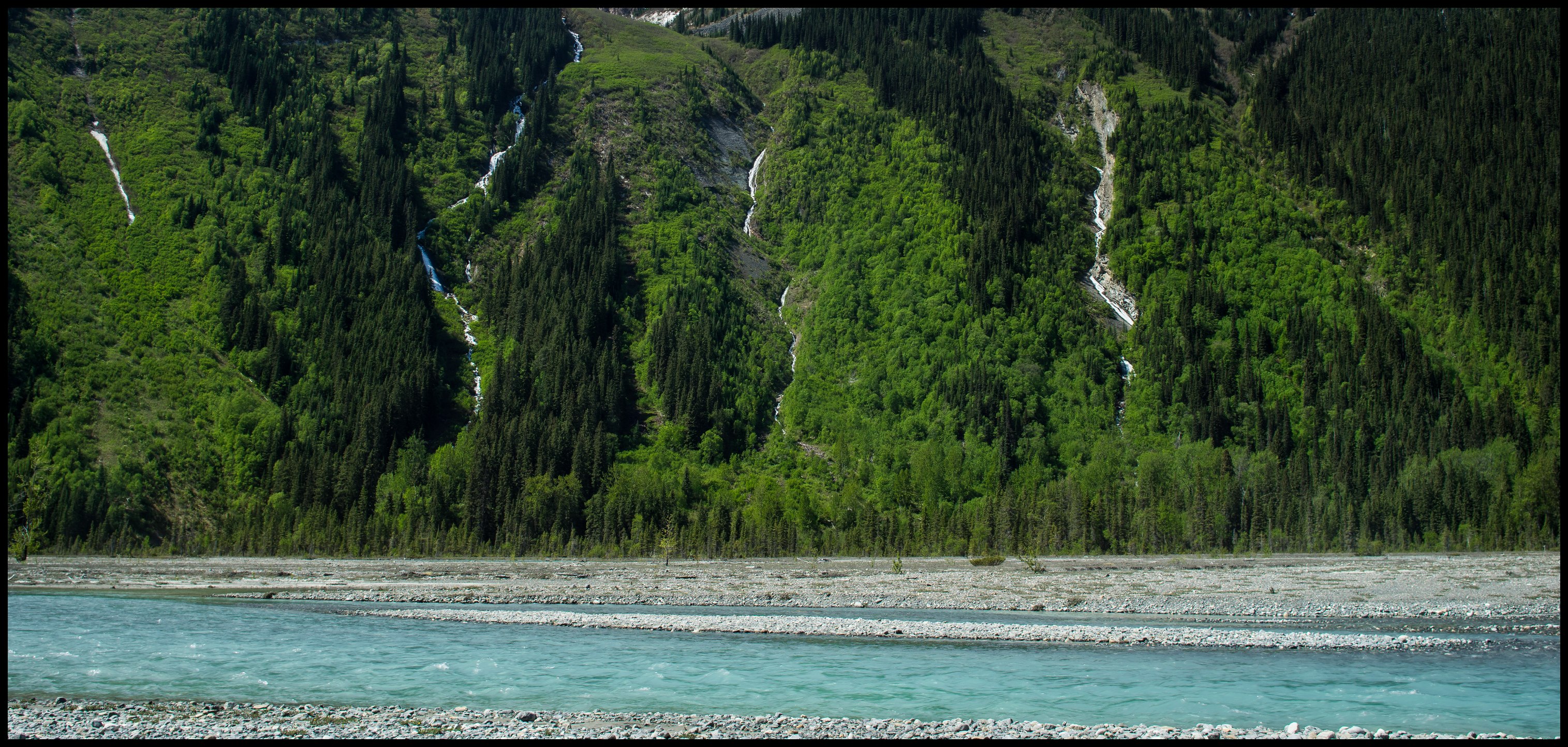 Spring scenery of Berg Lake trail Sony A7 / Canon FD Tilt Shift 35 2.8