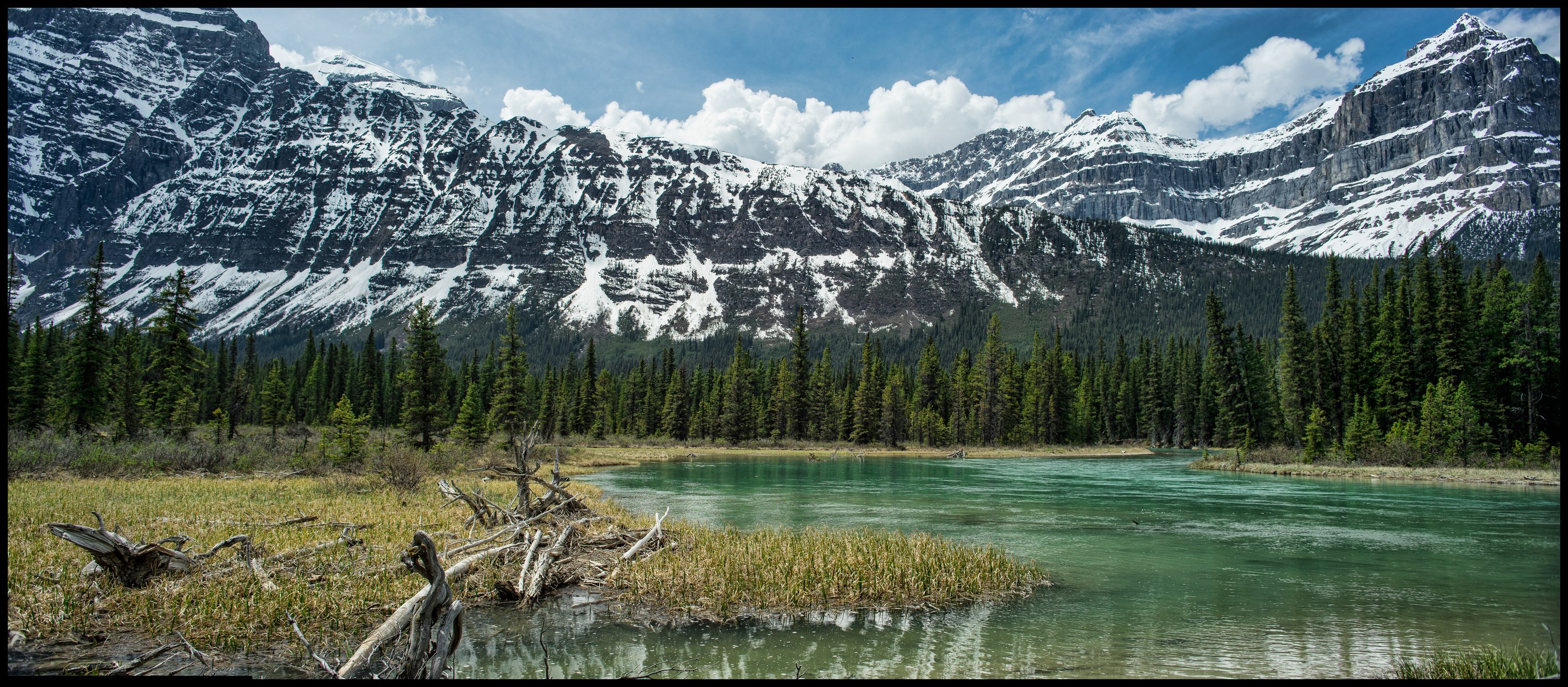 Picknick spot at Saskatchewan River Crossing, Icefields Parkway Sony A7 / Canon FD Tilt Shift 35 2.8