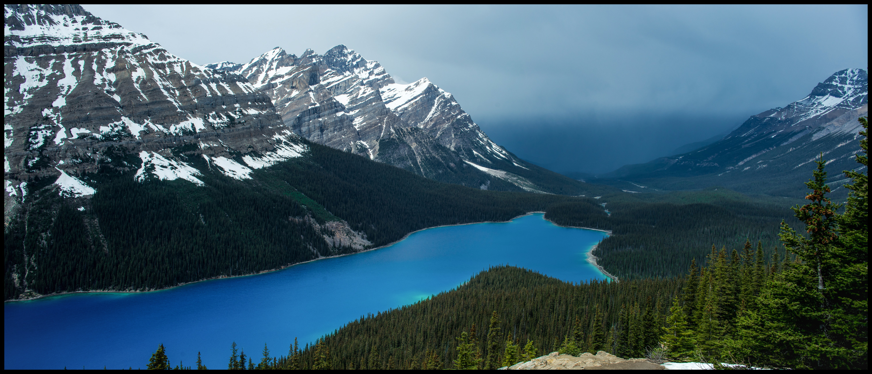 Peyto Lake colours after the storm Sony A7 / Canon FD Tilt Shift 35 2.8