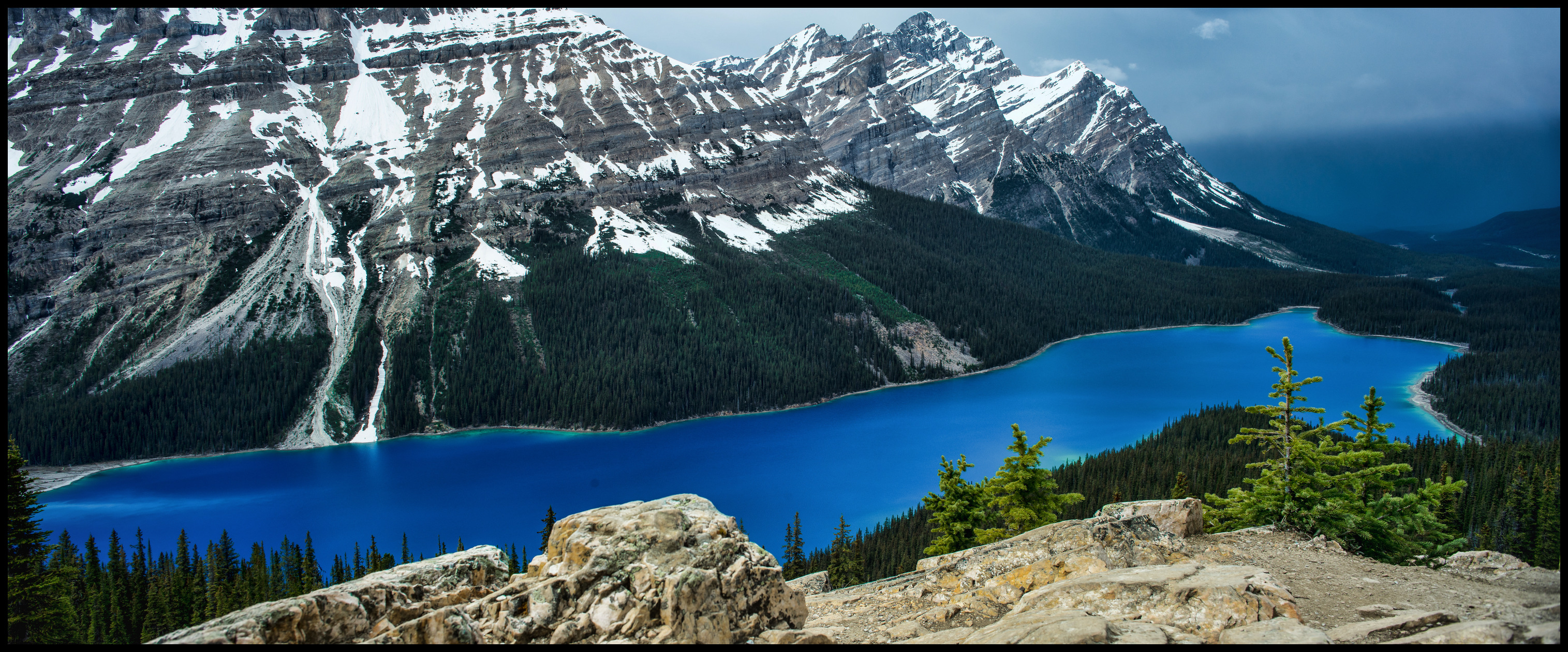 Peyto Lake spring colours in May, after a rainstorm Sony A7 / Canon FD Tilt Shift 35 2.8