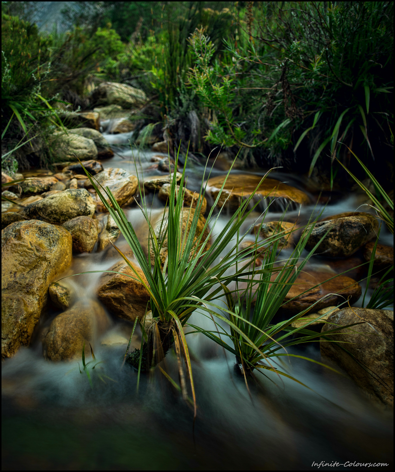 Small stream in the Tsitsikamma Mountains