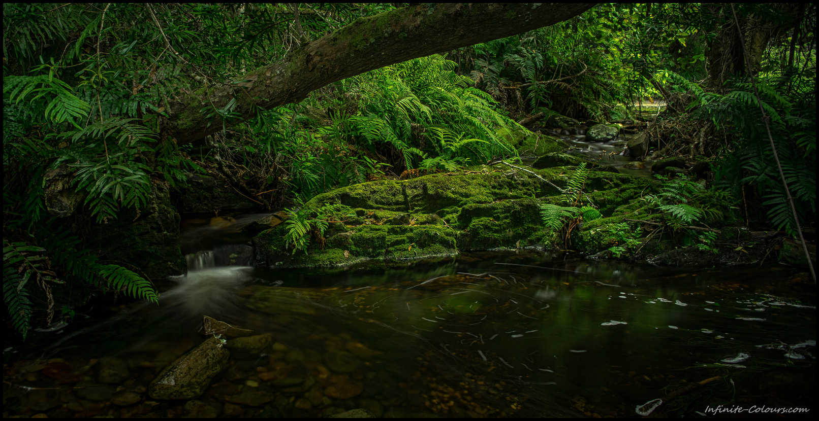 From open coastal scenery to thick moss-covered rainforest, the Otter Trail offers so much diversity