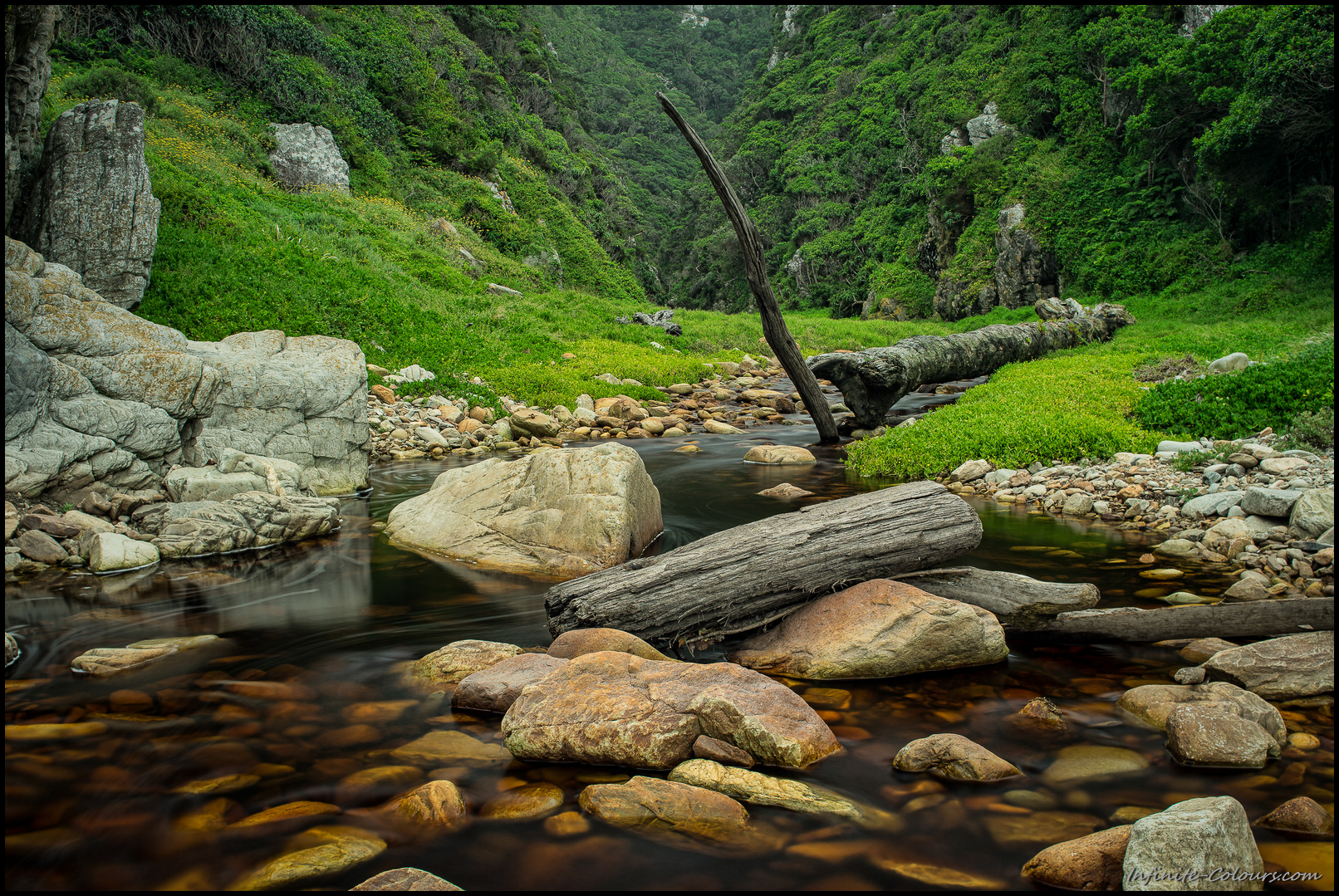 Huge pieces of driftwood have been washed ashore near Cold stream, Otter Trail