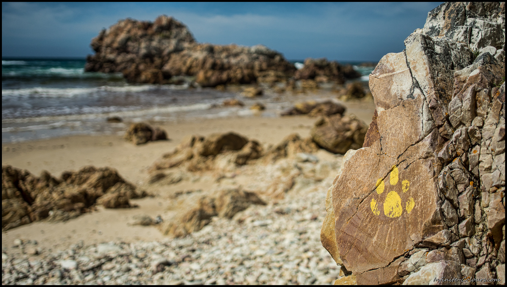 One of the last Otter paws that mark the trail exiting the beach at Andre huts