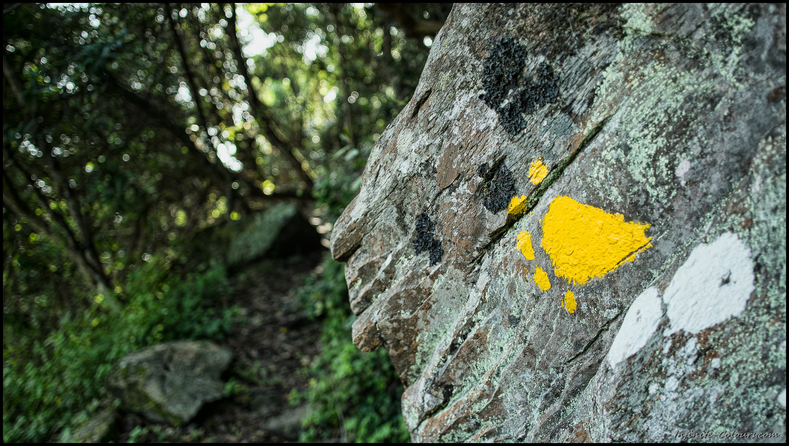 Otter footprints mark the path beyond Jerling River falls