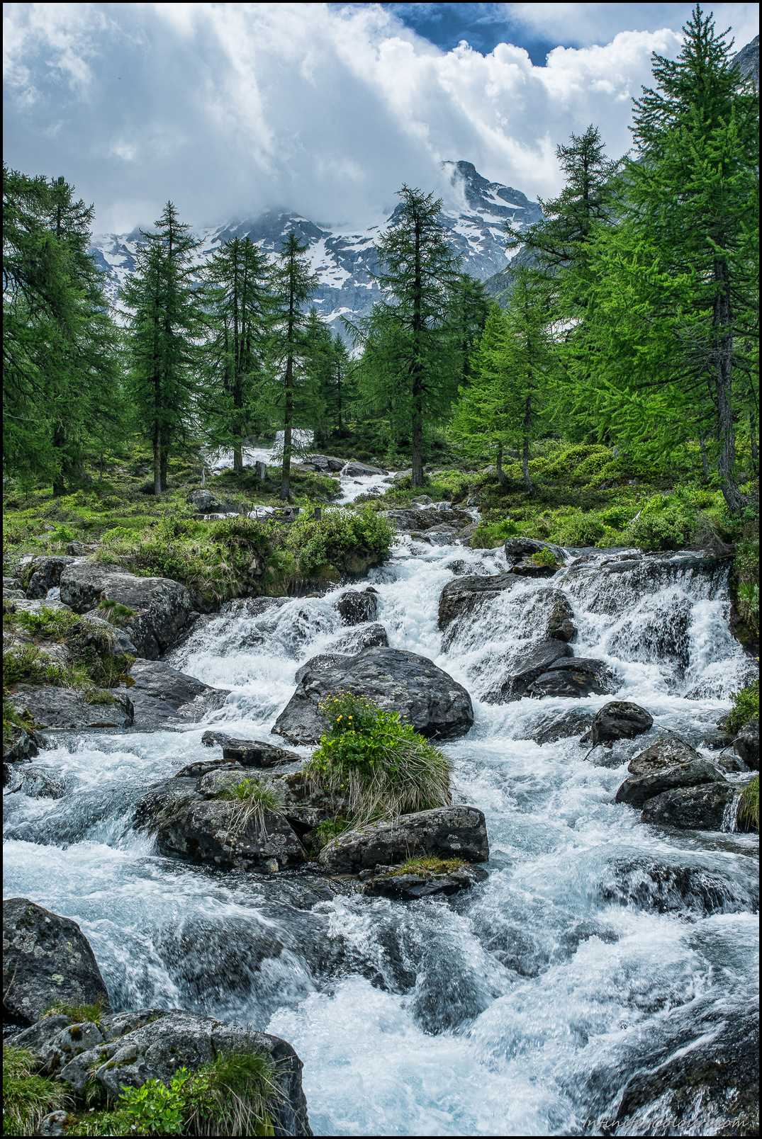 The Mässerbach rushes down to the village of Fäld