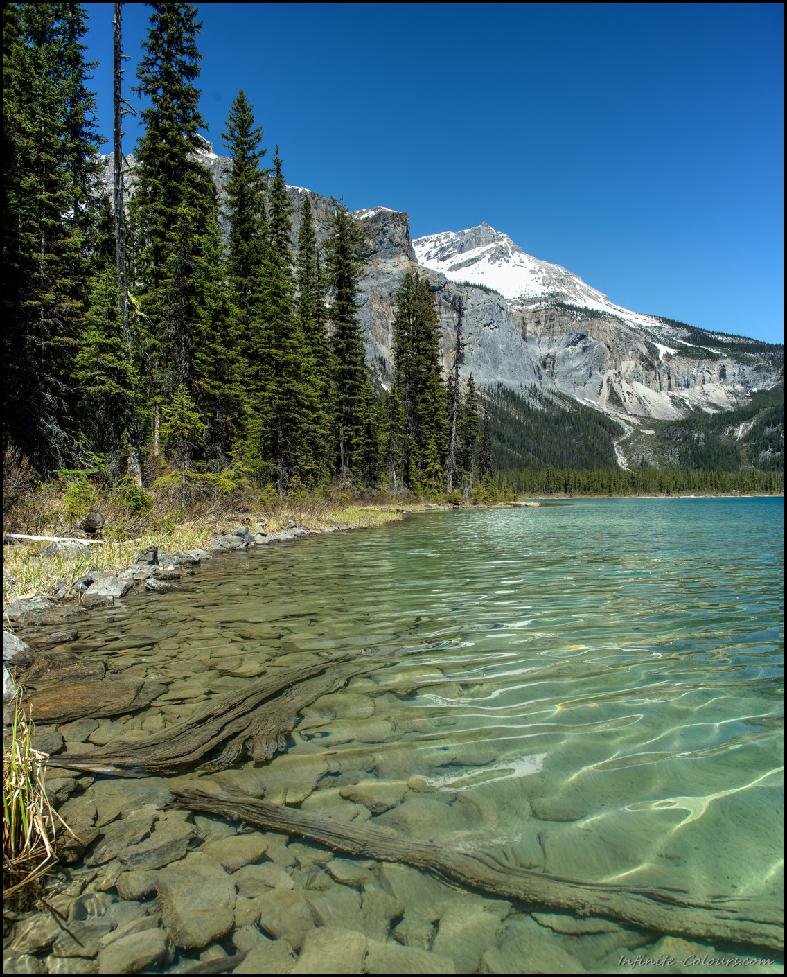 Emerald lake in Yoho National Park