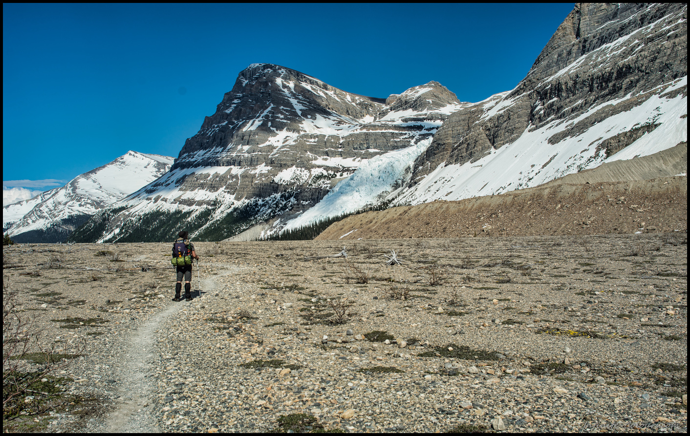 Scenery close to Marmot campsite on Berg Lake Trail