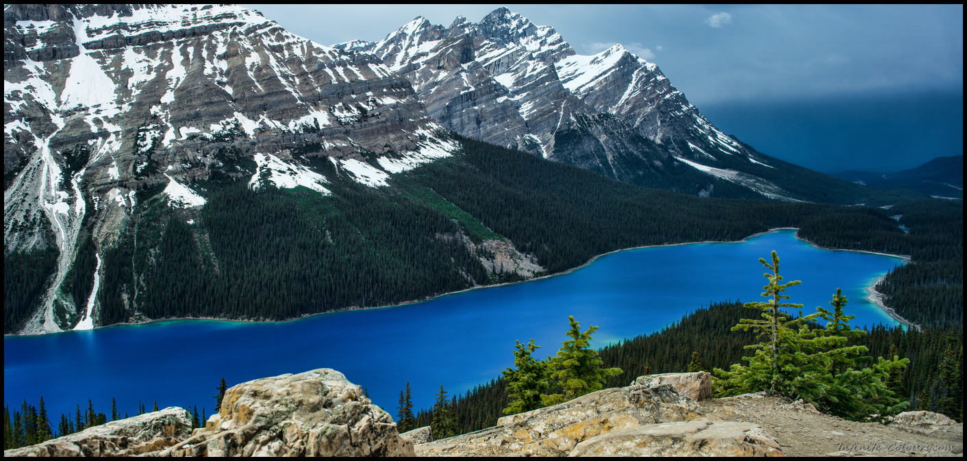 Peyto Lake spring colours in May, after a rainstorm