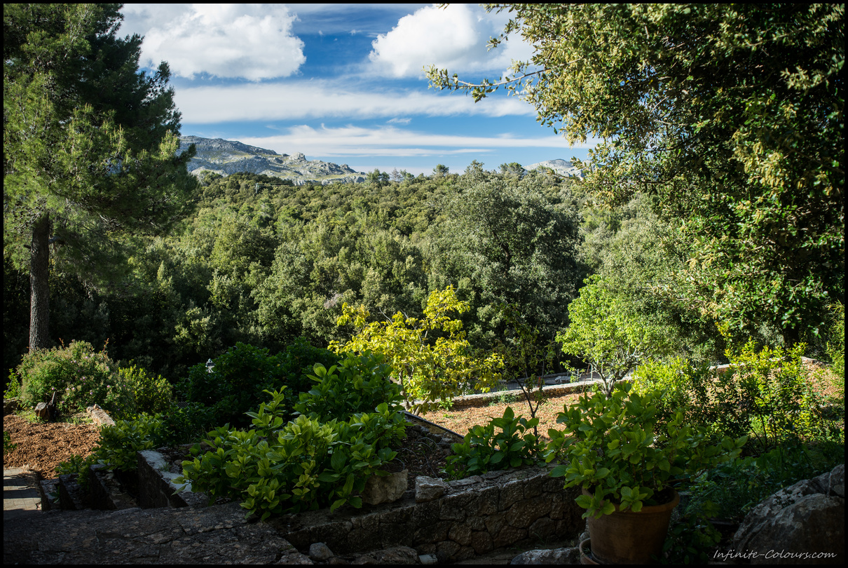 Finca view overlooking the Serra de Tramuntana forest