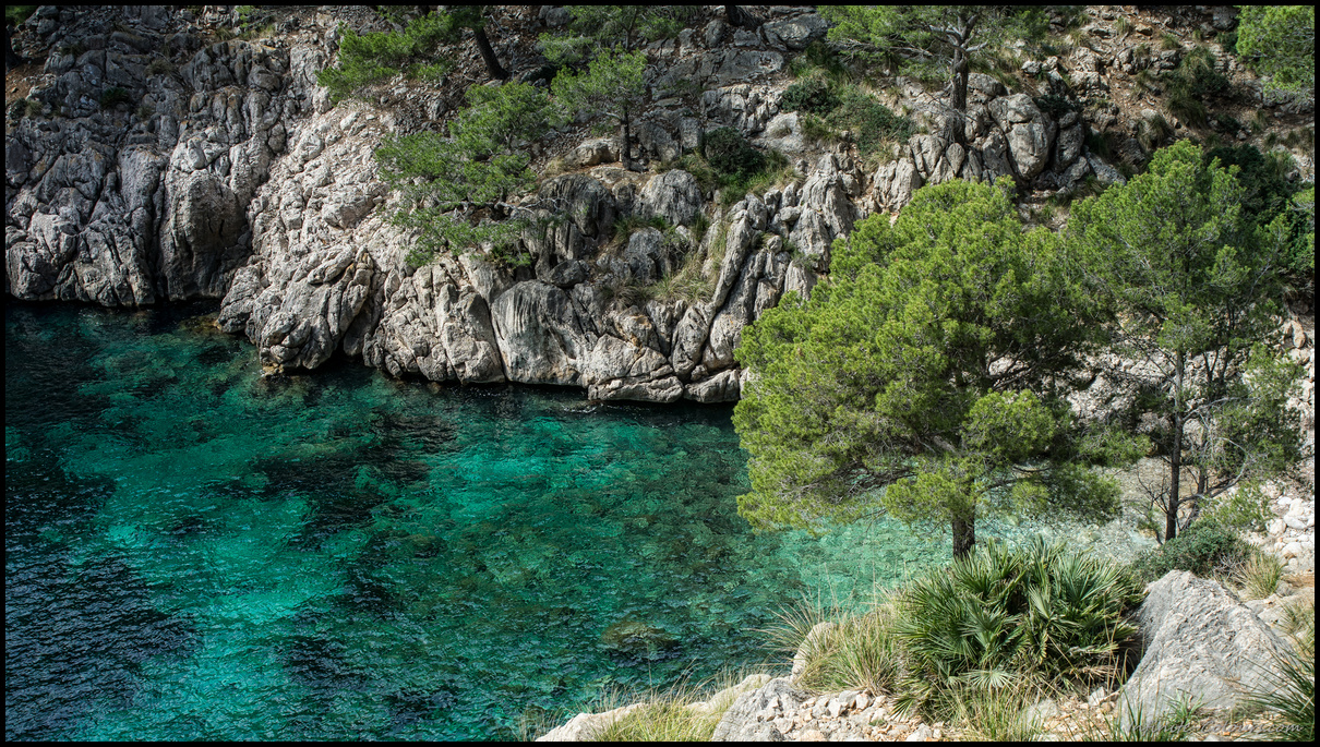 Cala Murta is a stunning little cove for snorkeling and swimming on western Formentor, Mallorca