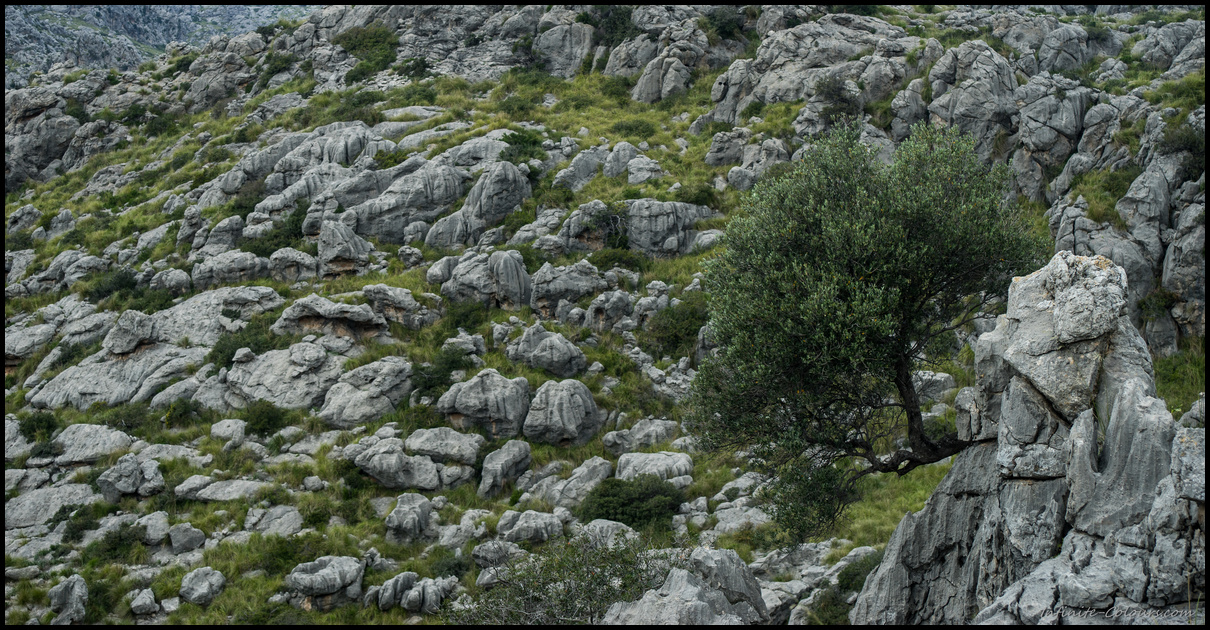 Torrent Fondo de Mortitx scenery, Tramuntana