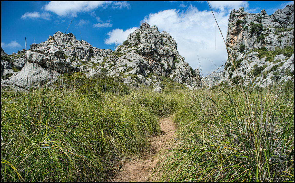 At the top of the canyon, an excellent path leads through the vineyard