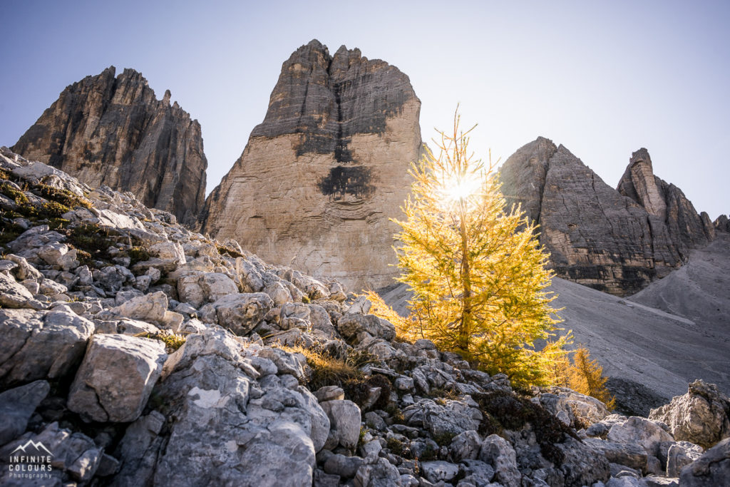 Goldener Herbst in den Dolomiten - Lärchen vor Sasso di Landro, Cima Ovest, Cima Grande - Tre Cime di Lavaredo pandscape photography gegenlich sunstars Sony A7