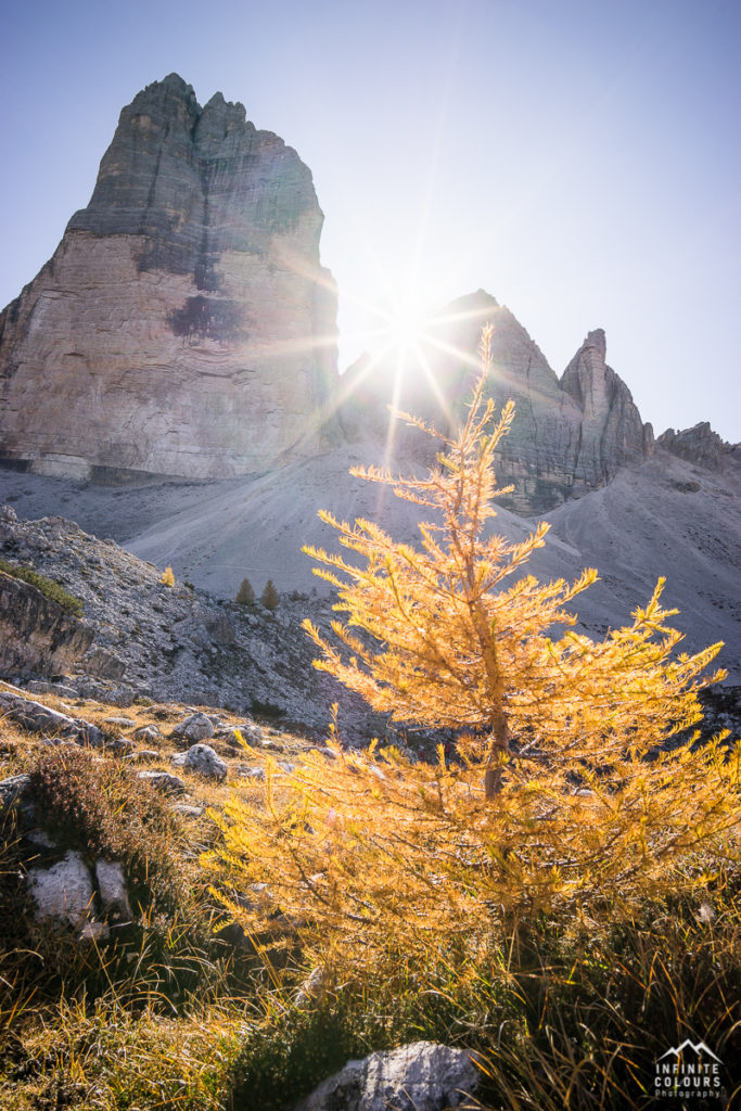 Goldener Herbst in den Dolomiten - Lärchen vor Sasso di Landro, Cima Ovest, Cima Grande - Tre Cime di Lavaredo pandscape photography gegenlich sunstars Sony A7