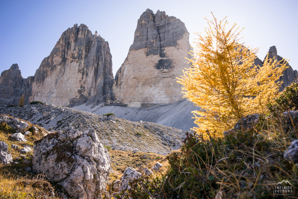 Goldener Herbst in den Dolomiten - Lärchen vor Sasso di Landro, Cima Ovest, Cima Grande - Tre Cime di Lavaredo pandscape photography gegenlich sunstars Sony A7