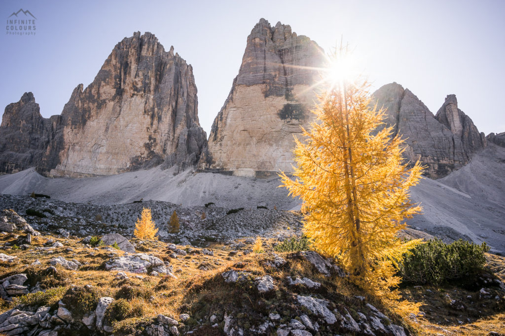 Goldener Herbst in den Dolomiten - Lärchen vor Sasso di Landro, Cima Ovest, Cima Grande - Tre Cime di Lavaredo pandscape photography gegenlich sunstars Sony A7