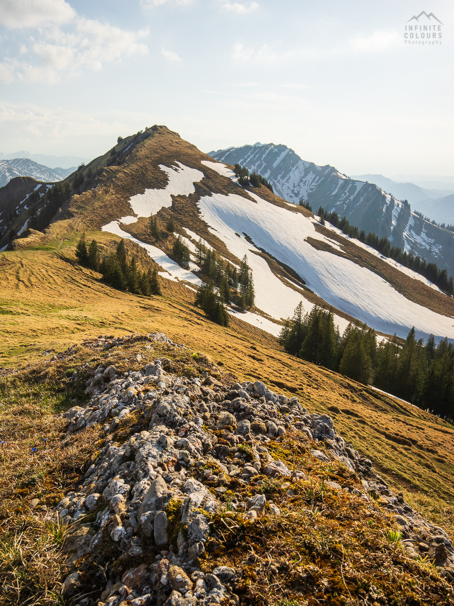 Stuiben Frühling Sonnenuntergang Immenstadt Wanderung Allgäu Landschaftsfotografie blauer Enzian Allgäuer Alpen Sederer Stuiben Buralpkopf Wanderung