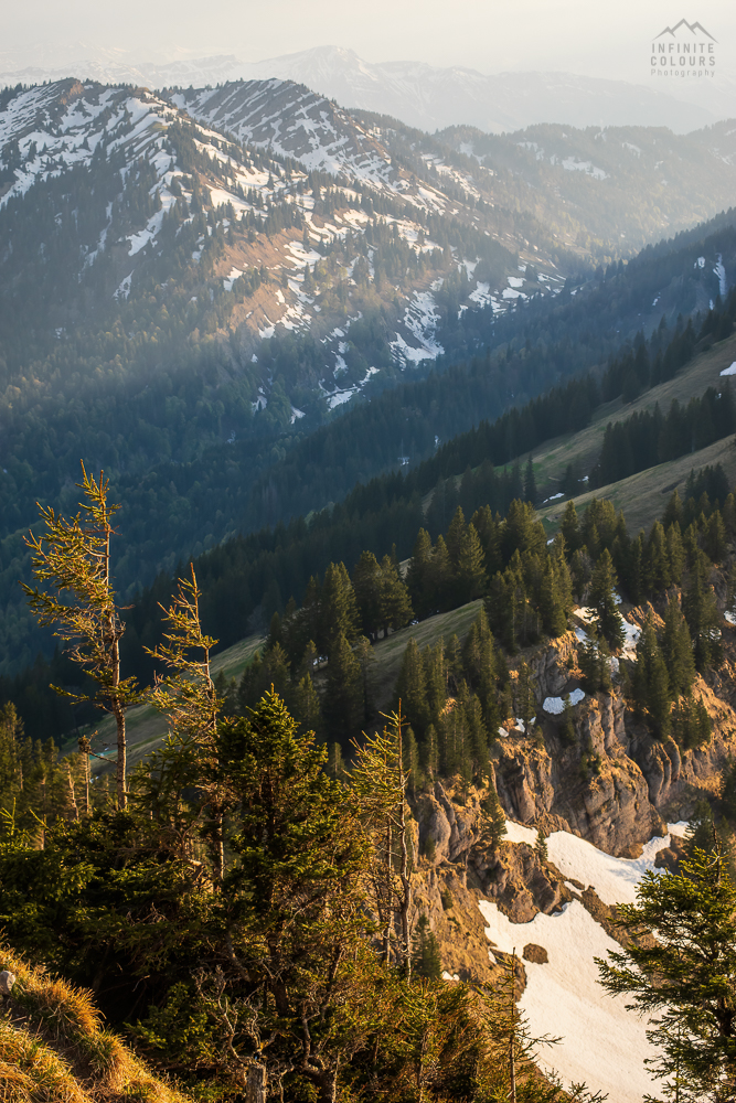 Stuiben Frühling Sonnenuntergang Immenstadt Wanderung Allgäu Landschaftsfotografie blauer Enzian Allgäuer Alpen Sederer Stuiben Buralpkopf Wanderung Nagelfluh Nagelfluhkette Girenkopf Heidenkopf Siplinger Kopf Siplingerkopf Sturmerprobte Fichten vor Nagelfluh-Wänden, im Hintergrund Heidenkopf und Girenkopf