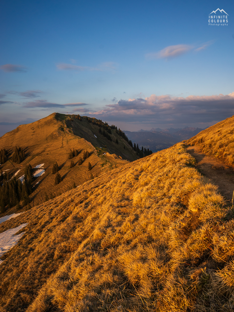 Stuiben Sonnenuntergang Allgäu Wildes Allgäu Landschaftsfotografie Manual Lenses Landscape Photography Golden Light