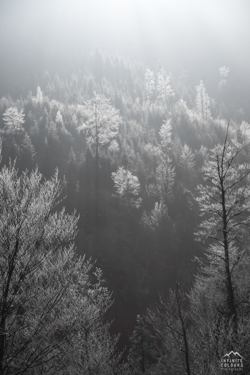 Retterschwanger Tal Retterschwangertal Mountainbike Oberstdorf Allgäu Sonnenaufgang Winter Herbst gefrorene Bäume Bad Hindelang Hinterstein Landschaftsfotografie