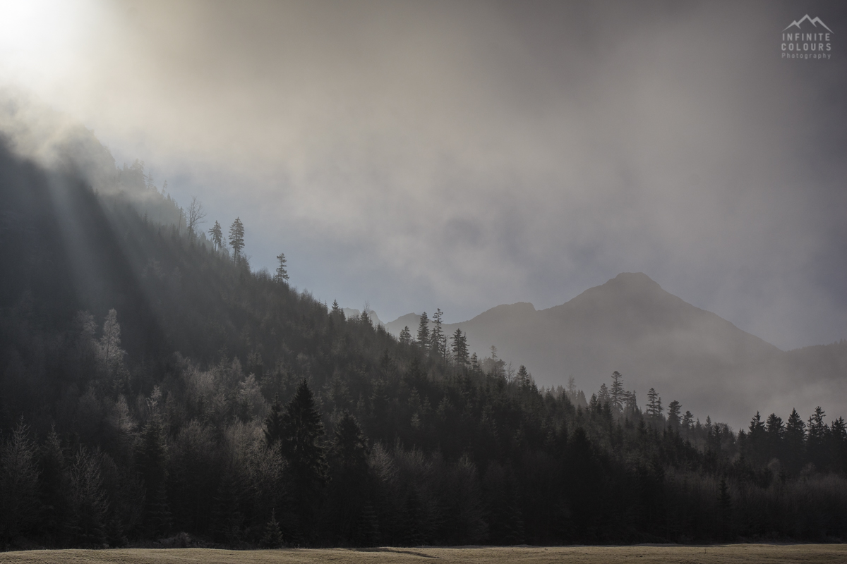 Alpen Nebelstimmung Herbstmorgen Herbst Nebel Frost