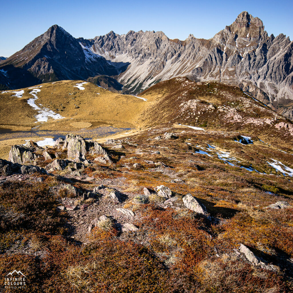 Mondlandschaft in den Alpen Hochplateau Vegetation Flechten Hochmoor Montafon Golmer Seen Herbst Zimba Brandner Mittagspitze Saulakopf Beste Wanderung Platzieser Ried Wanderung Förkilisee Golmer Joch Bike & Hike Kreuzjoch Golmer Seenweg Landschaftsfotografie Rätikon Bergwanderung Goldener Herbst im Montafon Vorarlberg Berge Flechten Purple Mountains Bunte Steine