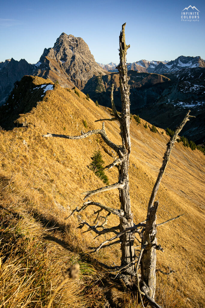 Landschaftsfotografie Vorarlberg Bregenzerwald Herbst Wanderung Üntschenspitze Widderstein Goldener Herbst Österreich Allgäu Gratwanderung Hochtannbergpass Sonnenuntergang Wanderung Schoppernau Schröcken Sony A7