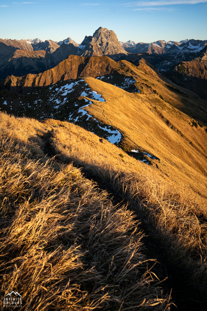 Aussicht von der Üntschenspitze Sonnenuntergang auf den Grat über die Güntlespitze zur Hintere Üntschenspitze Goldenes Herbstgras Goldenes Gras Goldener Herbst in den Bergen Einsamkeit Gratwanderung Bregenzerwald Landschaftsfotografie Vorarlberg Bregenzerwald Herbst Wanderung Üntschenspitze Güntlespitze Widderstein Goldener Herbst Österreich Allgäu Gratwanderung Hochtannbergpass Sonnenuntergang Wanderung Schoppernau Schröcken Sony A7