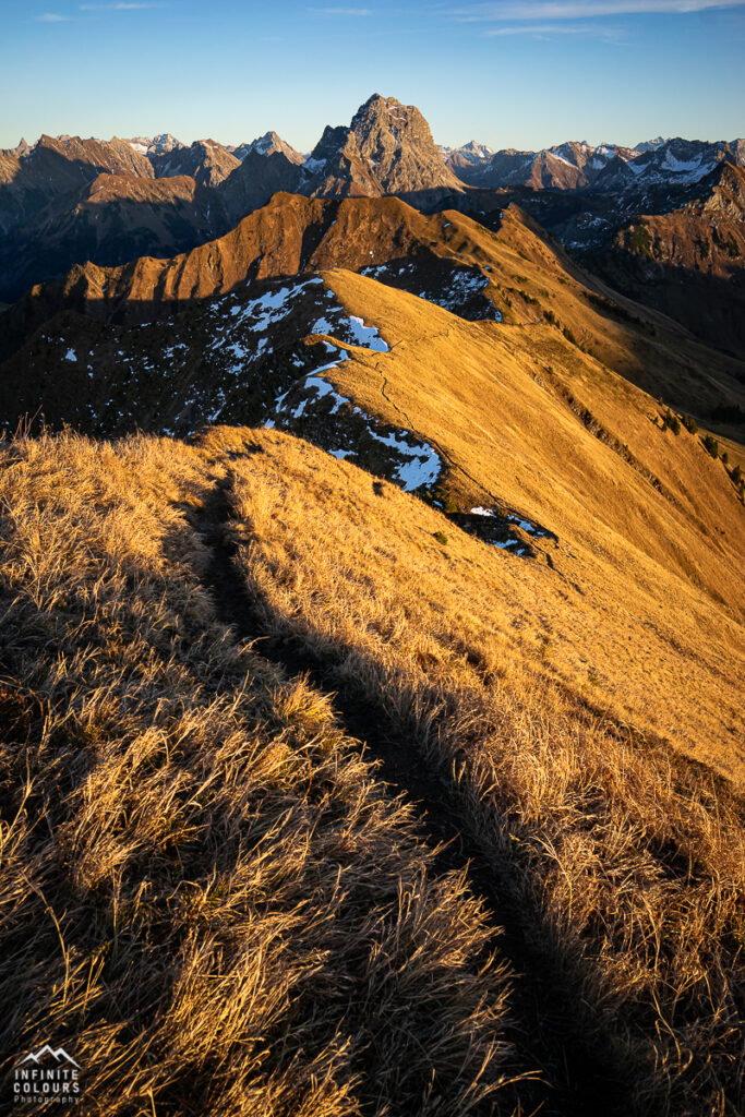 Aussicht von der Üntschenspitze Sonnenuntergang auf den Grat über die Güntlespitze zur Hintere Üntschenspitze Goldenes Herbstgras Goldenes Gras Goldener Herbst in den Bergen Einsamkeit Gratwanderung Bregenzerwald Landschaftsfotografie Vorarlberg Bregenzerwald Herbst Wanderung Üntschenspitze Güntlespitze Widderstein Goldener Herbst Österreich Allgäu Gratwanderung Hochtannbergpass Sonnenuntergang Wanderung Schoppernau Schröcken Sony A7