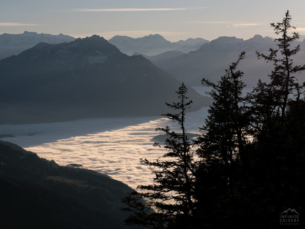 Nebel im Rheintal Rheintalnebel im Herbst mit Sarojahöhe und Drei Schwestern in Liechtenstein und Alvier Alvierkette Landschaftsfotografie Rheintal Bregenz Feldkirch Herbst Fotografie Alpen Streiflicht magisches Licht auf der Gratwanderung vom First Vorderhörnle Hörnle Dümmelekopf Valüragrat Hoher Freschen