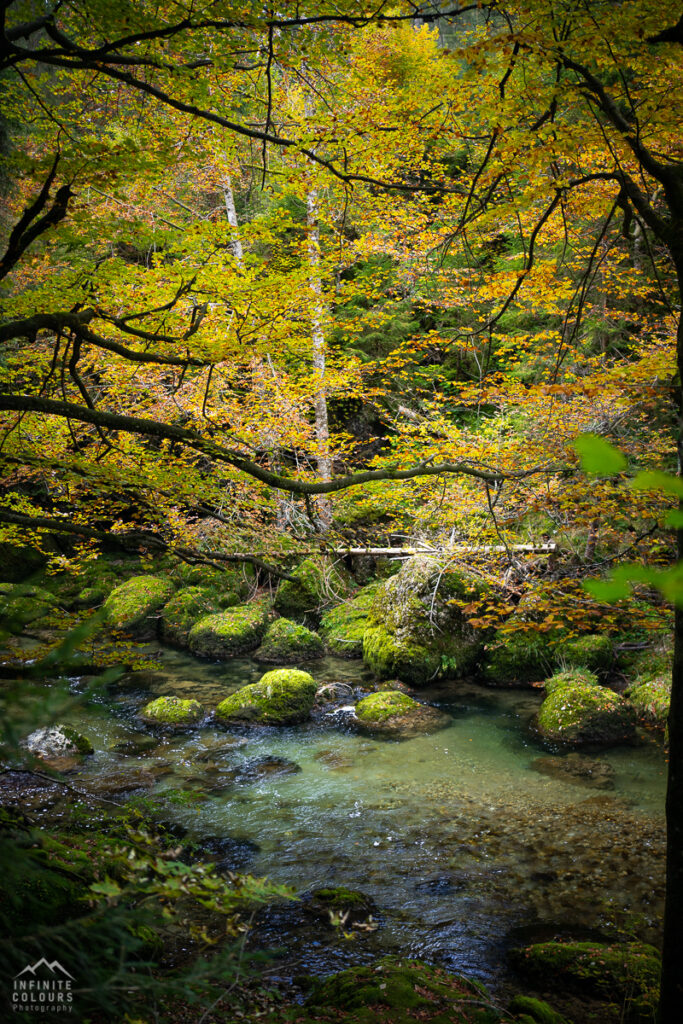 Intimate Landscape Germany Deutschland Herbst Landschaftsfotografie Deutschland Allgäu Bayern Flusslandschaft