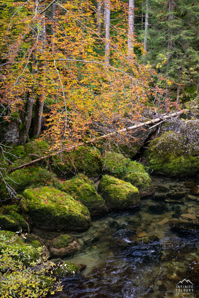 Intimite Landscape Germany Deutschland Herbst Landschaftsfotografie Deutschland Allgäu Bayern Flusslandschaft