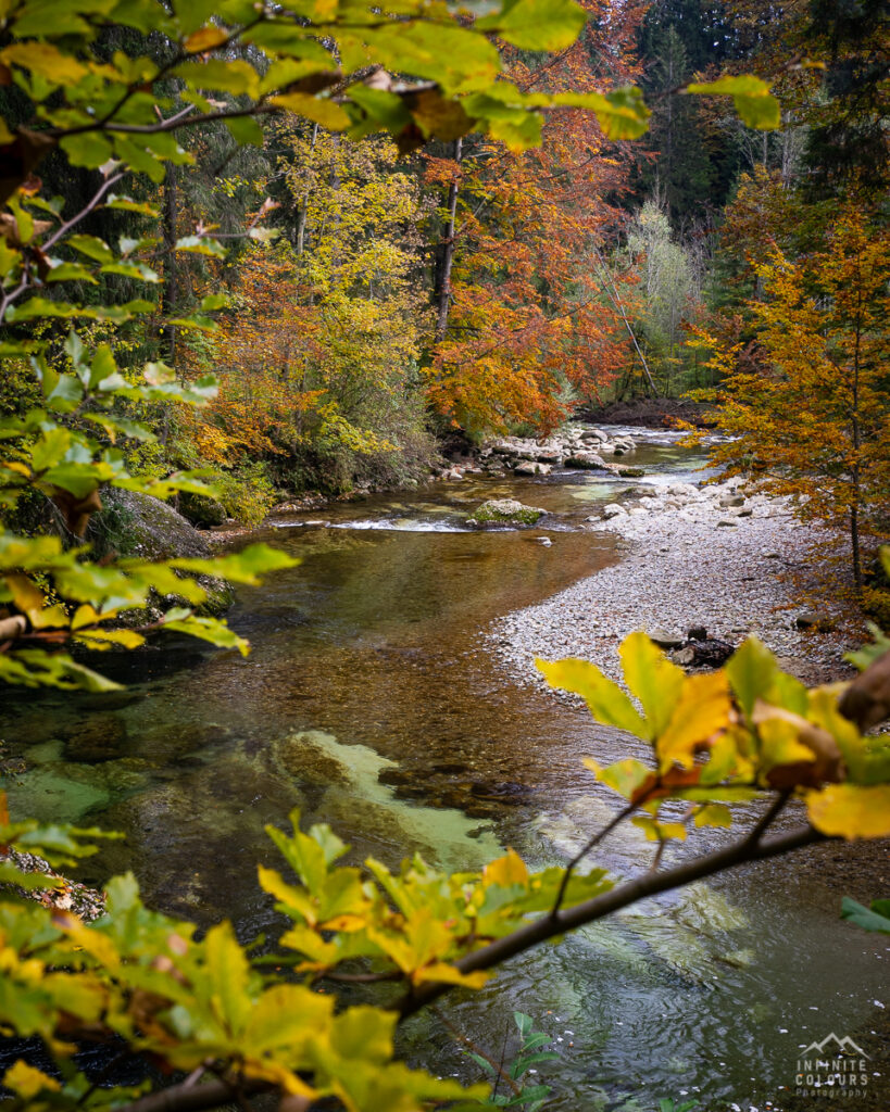 Landschaftsfotografie Herbst Herbstwald Bayern Gunzesrieder Ach Gunzesrieder Tal Wanderung