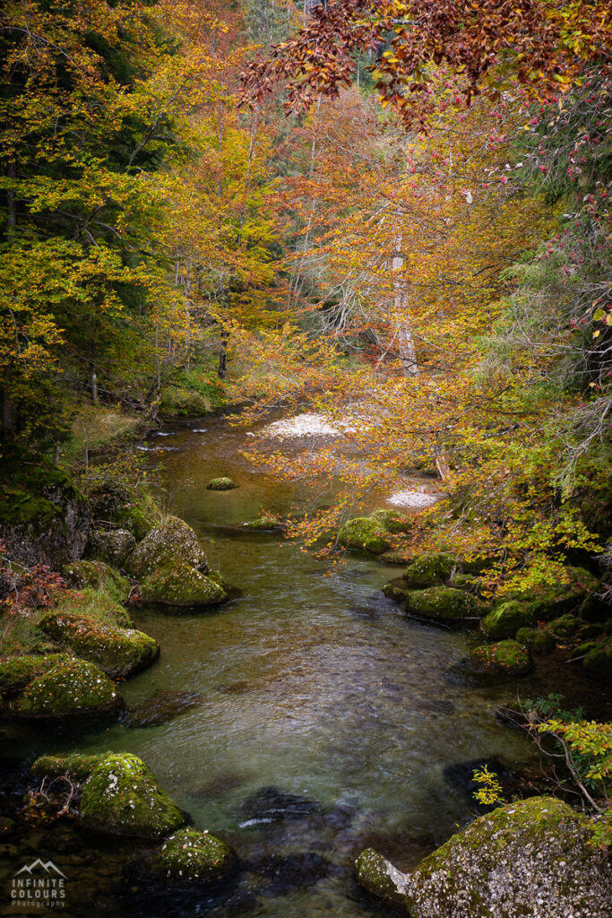 Landschaftsfotografie Allgäu Herbst Gunzesrieder Tal Herbstwald