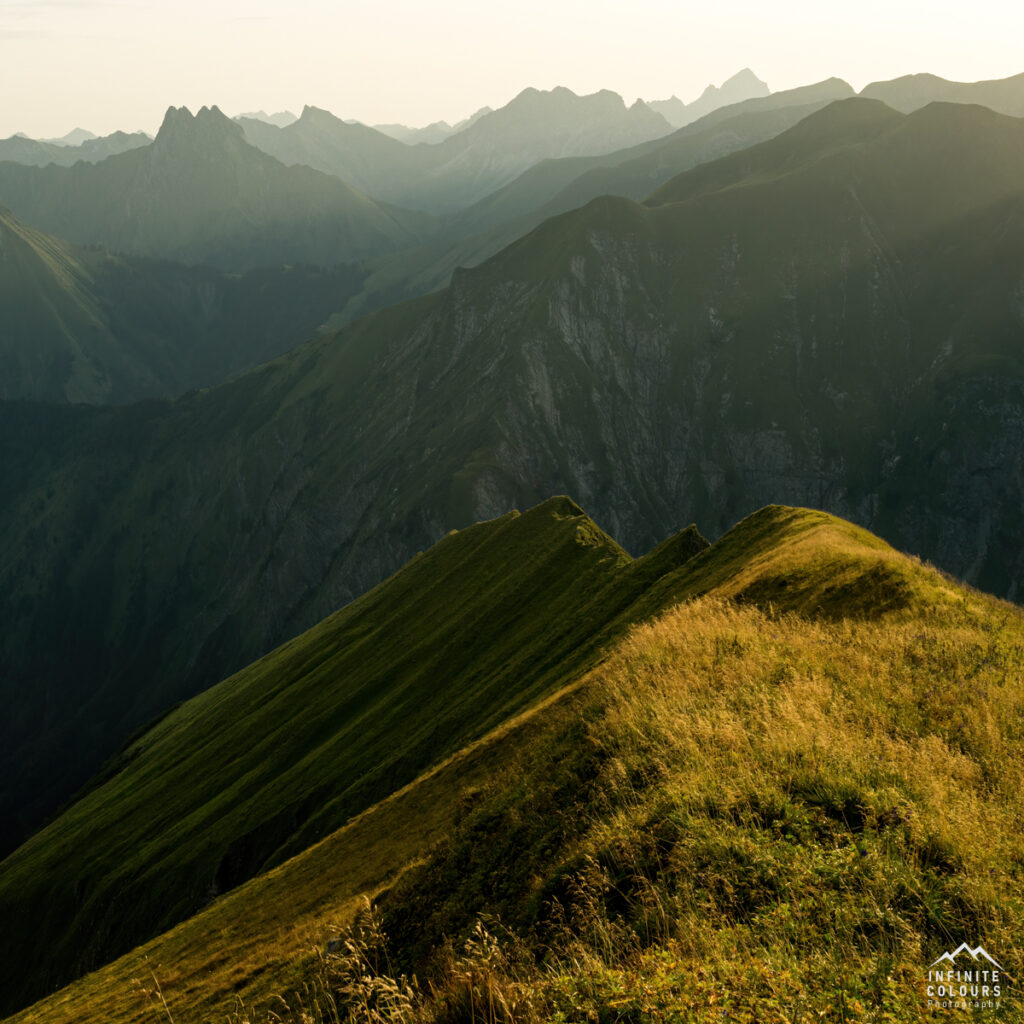 Allgäu Landschaftsfotografie Märchenwiese Allgäu Trettachspitze Sonnenaufgang Wildengundkopf Einödsberg Sommer Oberstdorf Fotografie Trettachtal Wanderung Naturpark Oberallgäu Allgäu Sonnenaufgang Allgäu Grasberge Höfats Sonnenaufgang Hochvogel