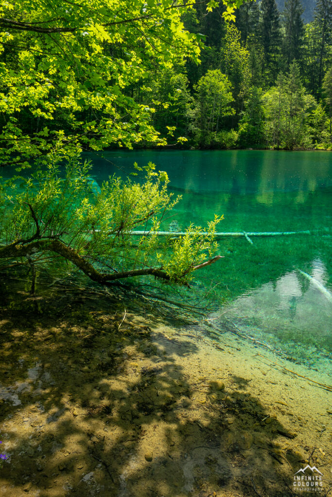 Allgäu Landschaftsfotografie Christlesee Frühling Oberstdorf Bergsee Fotografie Trettachtal Wanderung Bericht Naturpark Oberallgäu Bergfrühling