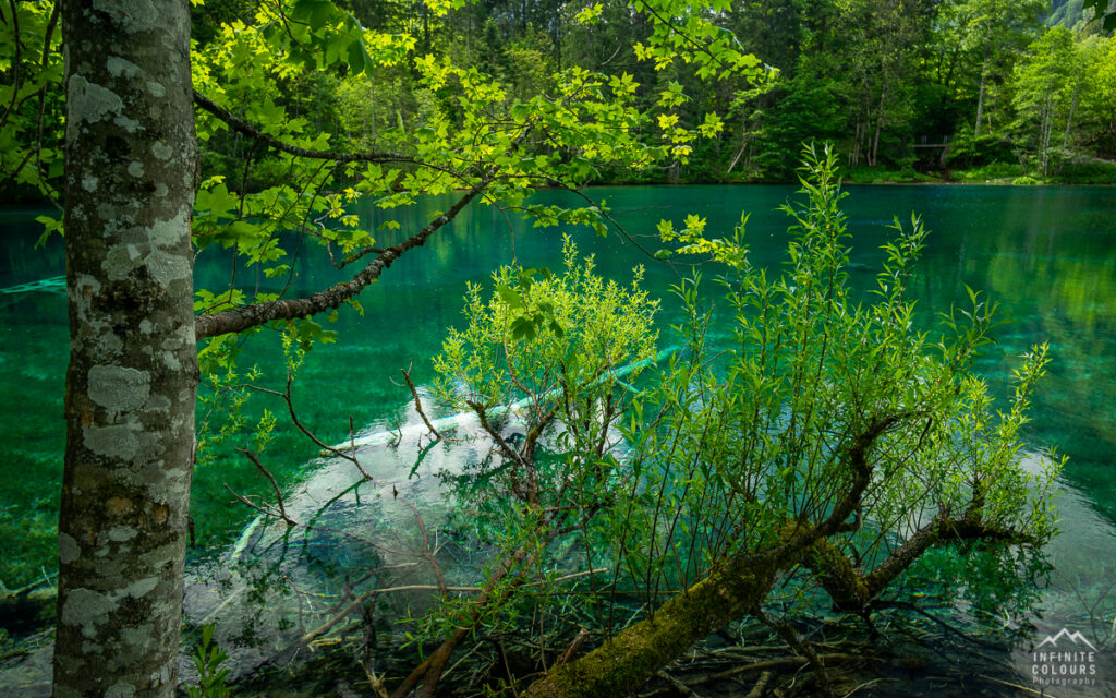 Allgäu Landschaftsfotografie Christlesee Frühling Oberstdorf Bergsee Fotografie Trettachtal Wanderung Bericht Naturpark Oberallgäu Bergfrühling