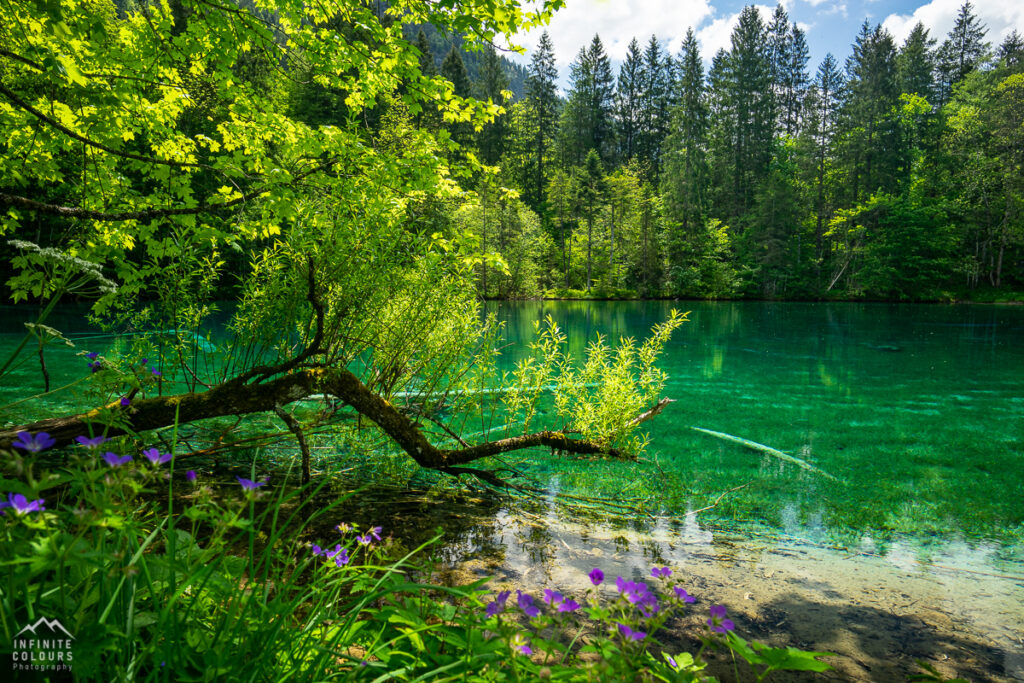 Allgäu Landschaftsfotografie Christlesee Frühling Oberstdorf Bergsee Fotografie Trettachtal Wanderung Bericht Naturpark Oberallgäu