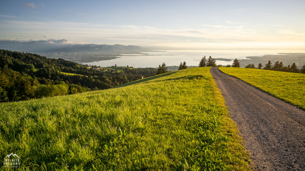 Hochberg Sonnenuntergang Pfänder Landschaftsfotografie Bodensee Sonnenuntergang Schüssellehen Bodensee Mountainbike Pfänder Säntis Rheintal