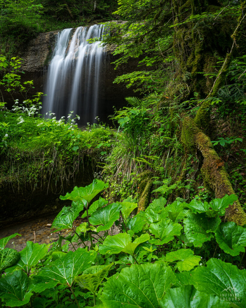 Wirtatobel Pfänder Wasserfall Westallgäu Landschaftsfotografie Wasserfall Vorarlberg Bregenz Langzeitbelichtung Wasserfall Vorarlberg Urwald Landschaftsfotografie Vorarlberg Rickenbach Tobel Vorarlberg Dschungel Europa Regenwald